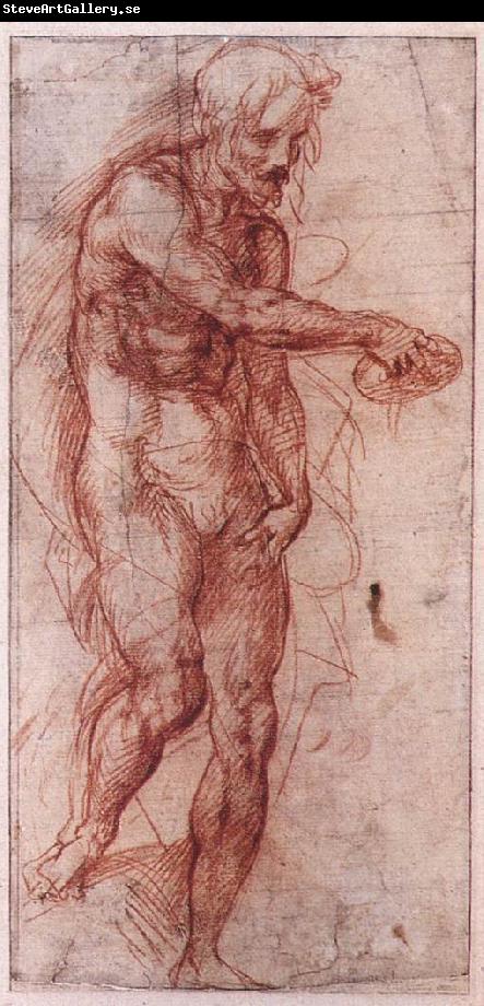 Andrea del Sarto Study for the Baptism of the People f